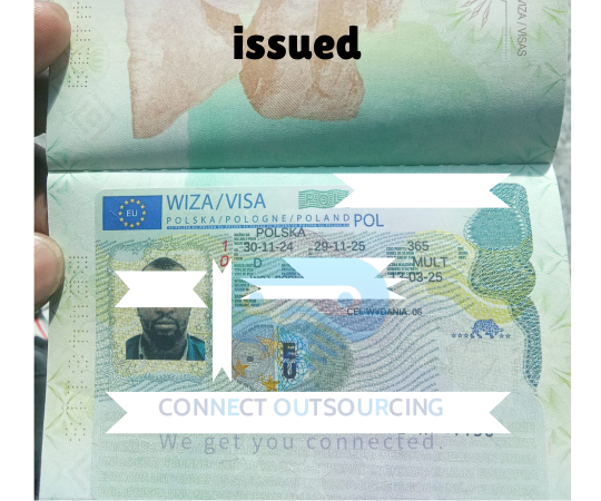 Countless visas
